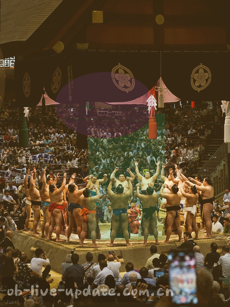 手机屏幕显示每日 9 点推送的战报通知，界面元素抽象化处理
